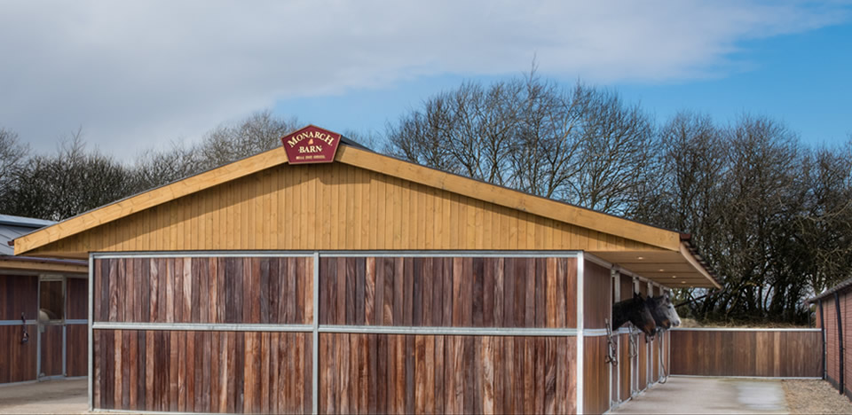 Avalon Equestrian